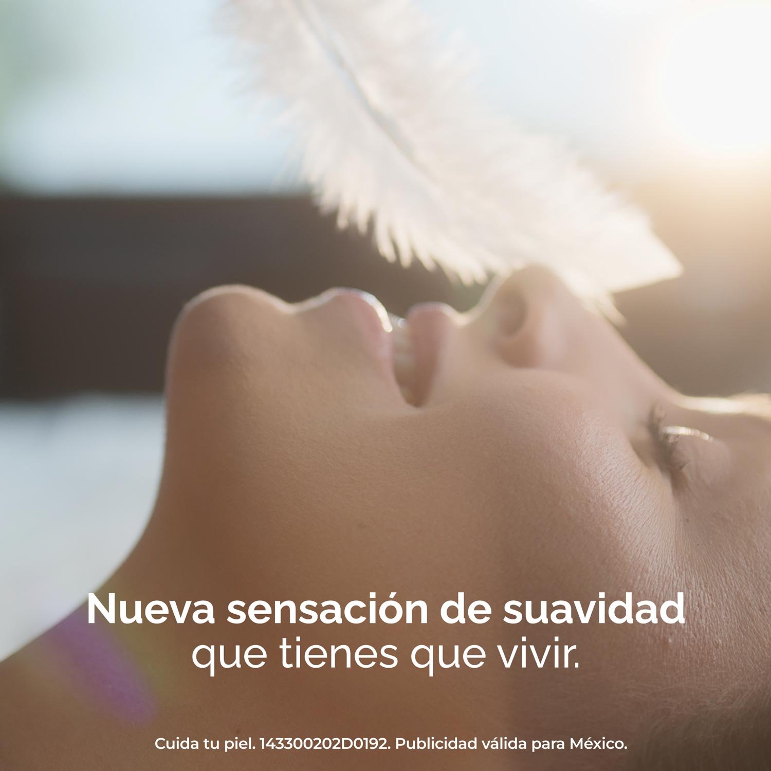 Regenerador-4